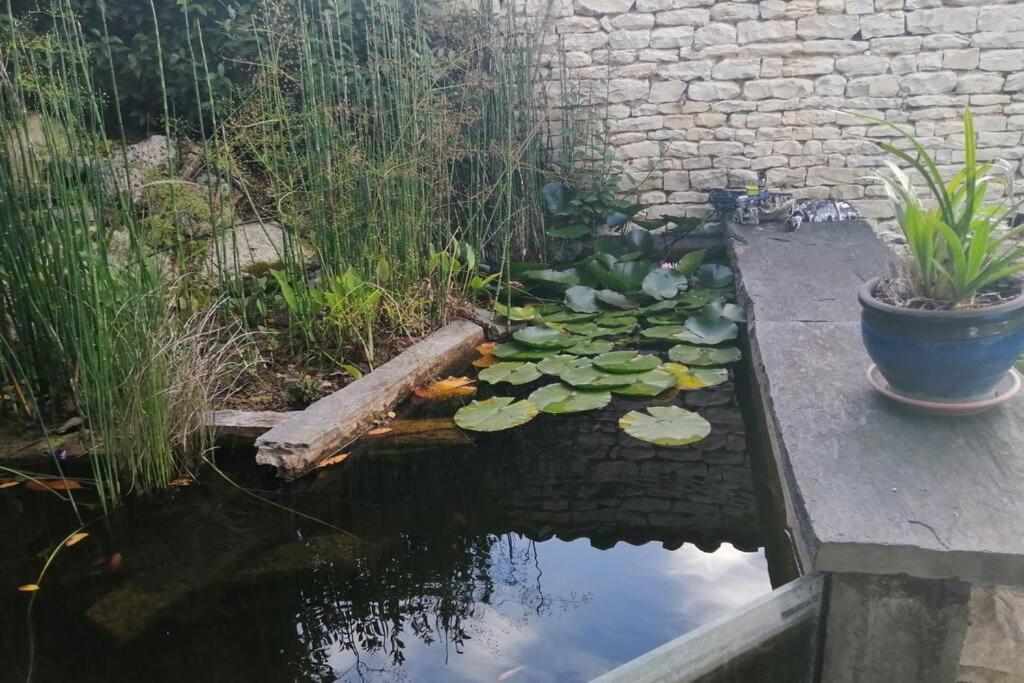 La Jolie Parenthese Apartment Saint-Sauveur-d'Aunis Bagian luar foto